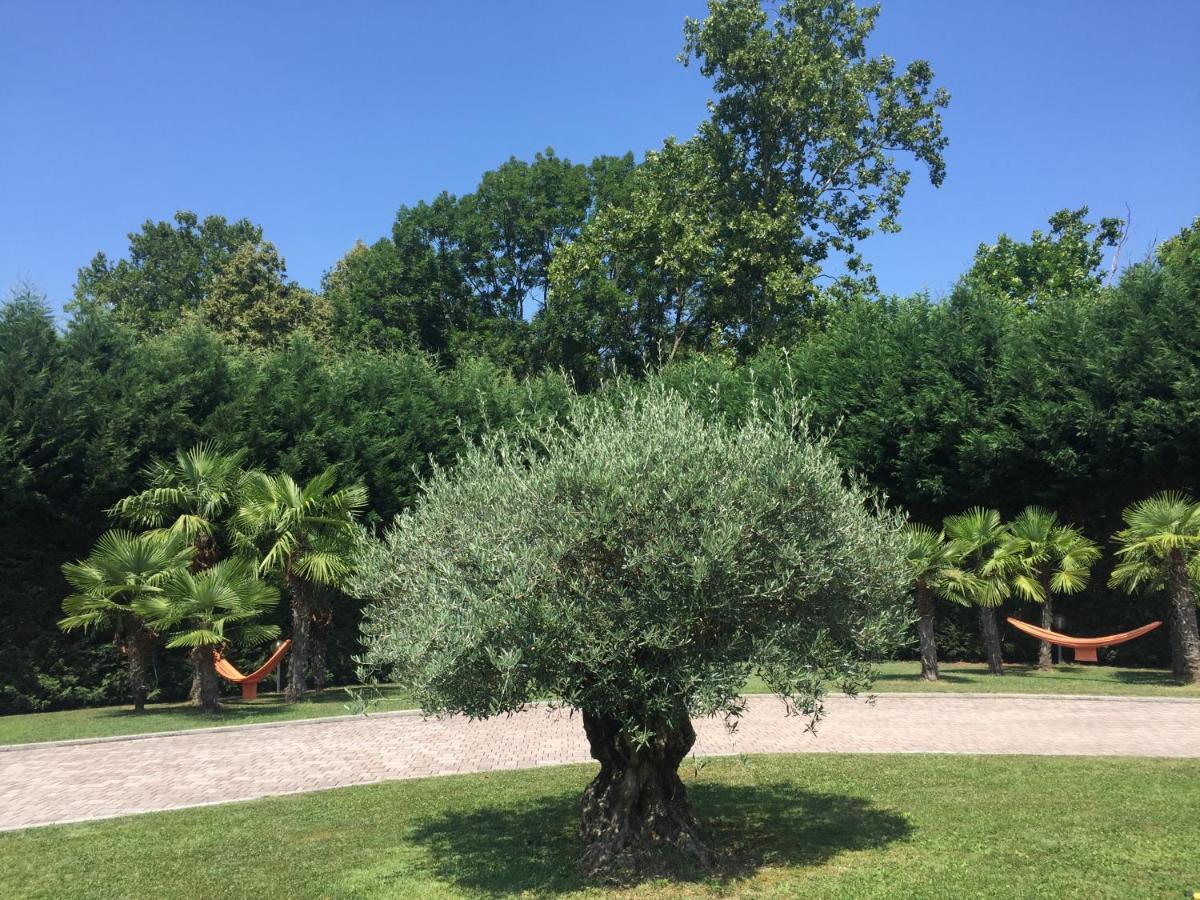 Villa Althea Ronago Exteriör bild