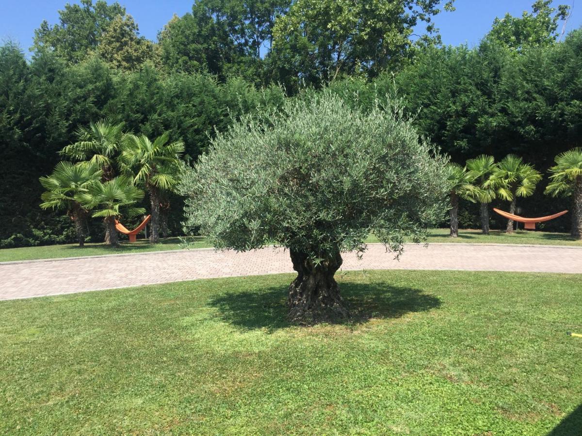 Villa Althea Ronago Exteriör bild